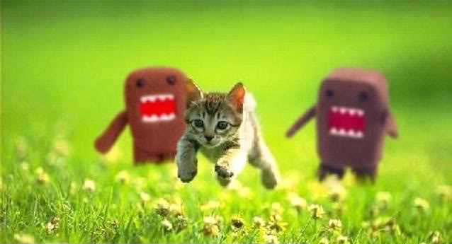ORM won't kill any kittens